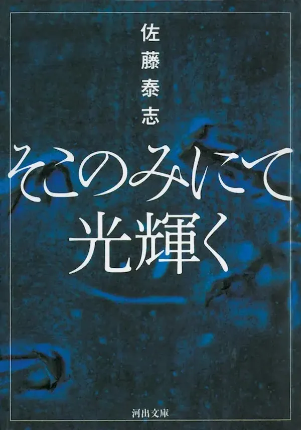 img of 『そこのみにて光輝く』 佐藤泰志 【読書感想】