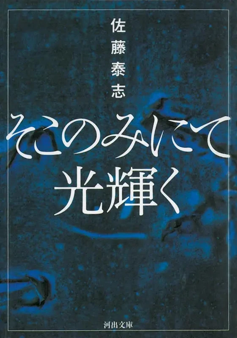 img of 『そこのみにて光輝く』 佐藤泰志 【読書感想】